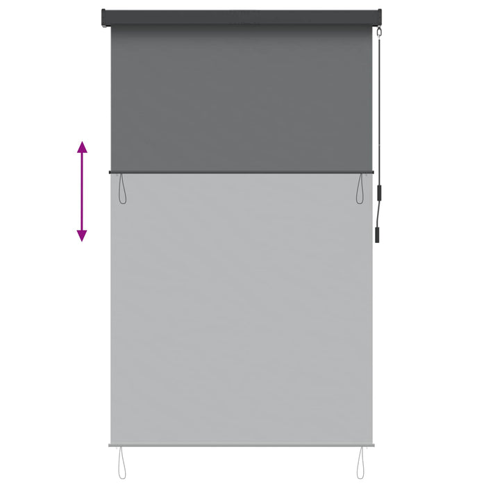 Rulou textil Gri deschis 100 x 250 cm Țesătură și Aluminiu - WALTI WALTI