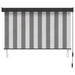 Rulou textil Antracit și Alb 100 x 250 cm Țesătură și Aluminiu - WALTI WALTI