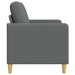 Sofa cu Spațiu de Depozitare Gri închis 72 x 78 x 87 cm - WALTI WALTI