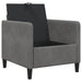 Sofa cu Spațiu de Depozitare Gri închis 72 x 78 x 87 cm - WALTI WALTI