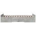  WALTI