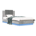 Cadru de pat cu LED Gri Beton 80 x 200 cm Lemn prelucrat - WALTI WALTI