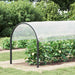 Împătură cu ochiuri Transparent 2 x 12 m Polietilenă - WALTI WALTI