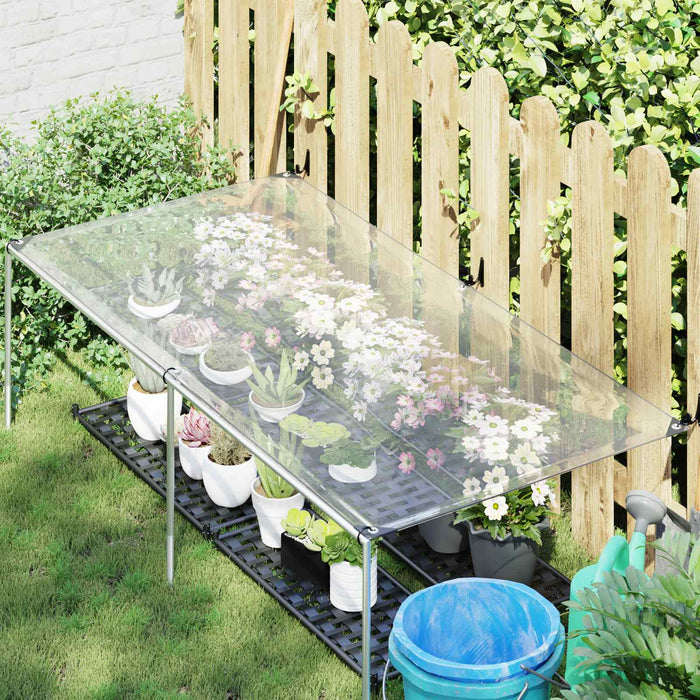 Husă pentru plante Transparent 2,5 x 1 m PE WALTI