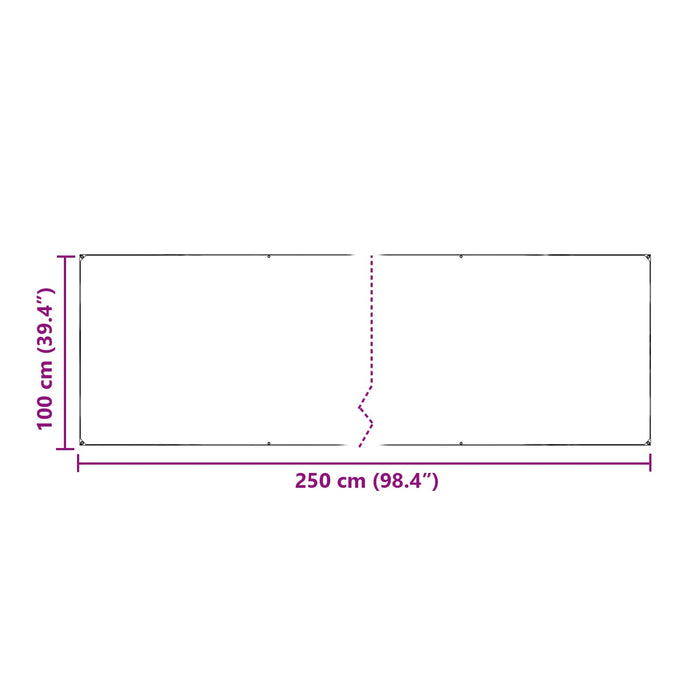 Prelată Transparent 2,5 x 1 m PE WALTI