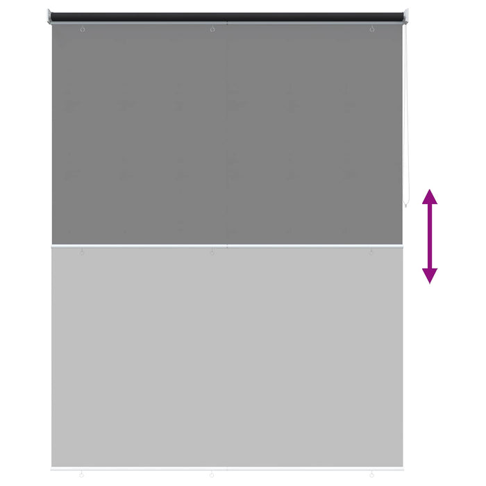Jaluzea tip rulou cu protecție UV Antracit 160 x 230 cm WALTI