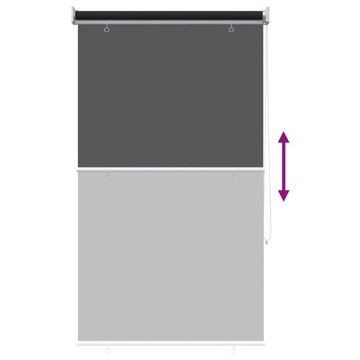 Jaluzea tip rulou cu protecție UV Negru 60 x 230 cm Poliester - WALTI WALTI