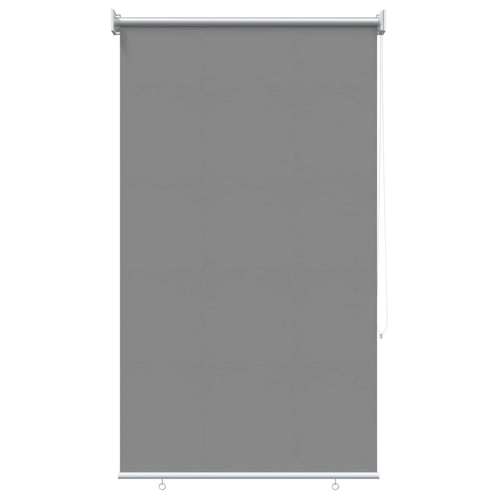 Rulou exterior protecție UV Gri deschis 65 x 140 cm (L x H) WALTI