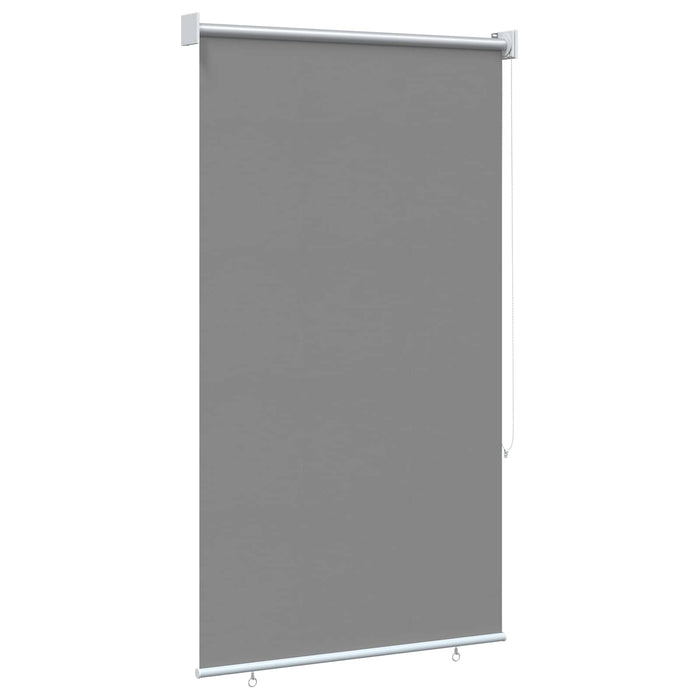 Rulou exterior protecție UV Gri deschis 85 x 140 cm (L x H) WALTI
