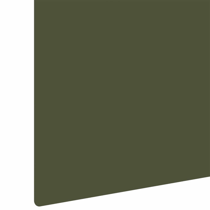 Margine pentru gazon 10 buc. 100 x 15 cm Oțel Verde măsliniu - WALTI WALTI