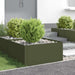 Margine pentru gazon 4 buc. 60 x 60 x 35 cm Oțel Verde măsliniu - WALTI WALTI