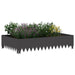 Margine pentru gazon 100 x 60 x 20 cm Oțel Negru - WALTI WALTI