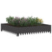 Margine pentru gazon 100 x 100 x 20 cm Oțel Negru - WALTI WALTI