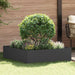 Margine pentru gazon 100 x 100 x 35 cm Oțel Negru - WALTI WALTI