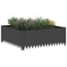 Margine pentru gazon 100 x 100 x 35 cm Oțel Negru - WALTI WALTI