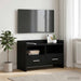 Cabinet TV 71,5 x 33 x 47 cm Stejar Negru Lemn prelucrat - WALTI WALTI