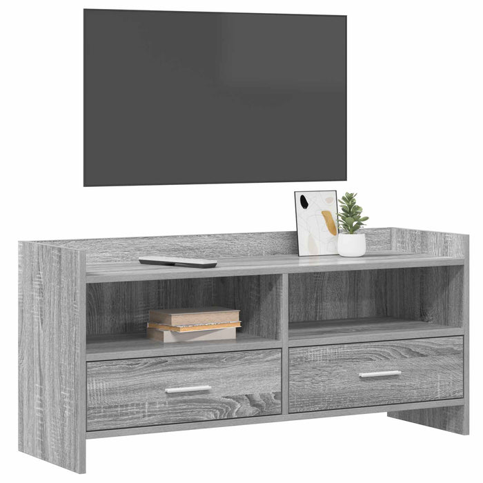 Cabinet TV 100 x 33 x 47 cm Sonoma gri Lemn prelucrat WALTI