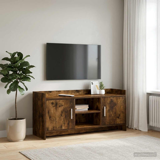 Cabinet TV 102 x 33 x 47 cm Stejar fumuriu Lemn prelucrat - WALTI WALTI