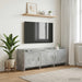 Cabinet TV 130 x 33 x 47 cm Gri Beton Lemn prelucrat - WALTI WALTI