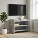 Cabinet TV 60 x 33 x 47 cm Gri Beton Lemn prelucrat - WALTI WALTI