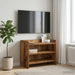 Cabinet TV 60 x 33 x 47 cm Lemn vechi Lemn prelucrat - WALTI WALTI