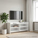 Cabinet TV 100 x 33 x 47 cm Alb Lemn prelucrat - WALTI WALTI