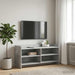 Cabinet TV 100 x 33 x 47 cm Gri Beton Lemn prelucrat - WALTI WALTI