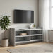 Cabinet TV 100 x 33 x 47 cm Sonoma gri Lemn prelucrat - WALTI WALTI