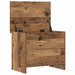 Sertar de depozitare Lemn vechi 60 x 40 x 50 cm Lemn prelucrat - WALTI WALTI