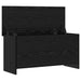 Sertar de depozitare Stejar Negru 100 x 40 x 50 cm - WALTI WALTI