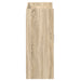 Dulap pentru pantofi cu ușă Stejar Sonoma 73,5 x 36 x 92 cm - WALTI WALTI