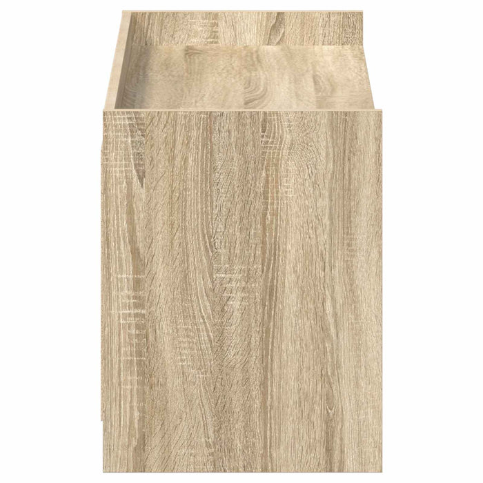 Dulap pentru pantofi cu ușă Stejar Sonoma 100 x 39,5 x 51 cm WALTI