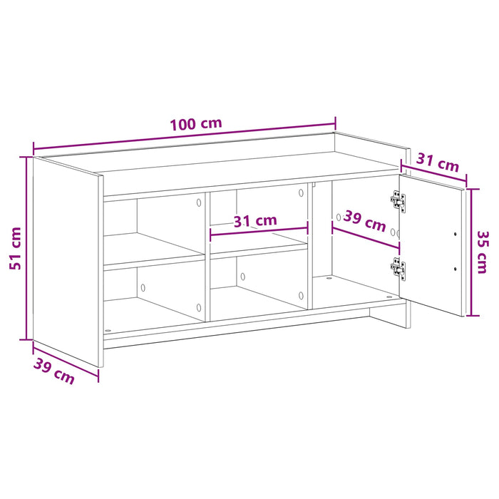 Dulap pentru pantofi cu ușă Lemn vechi 100 x 39,5 x 51 cm WALTI