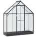 Seră de grădină cu ușă Antracit 183,5 x 63,5 x 207 cm - WALTI WALTI