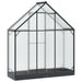 Seră de grădină cu ușă Antracit 183,5 x 63,5 x 207 cm - WALTI WALTI