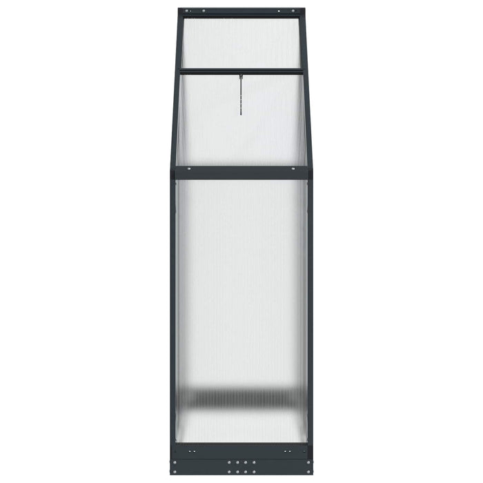 Seră de grădină cu ușă Antracit 183,5 x 63,5 x 207 cm - WALTI WALTI
