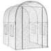 Seră cu Cadru 160 x 200 x 192,5 cm PVC Transparent - WALTI WALTI