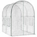 Seră cu Cadru 160 x 200 x 192,5 cm PVC Transparent - WALTI WALTI