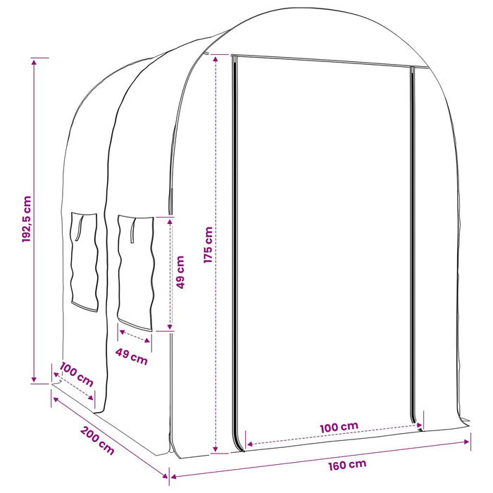 Seră cu Cadru 160 x 200 x 192,5 cm PVC Transparent - WALTI WALTI