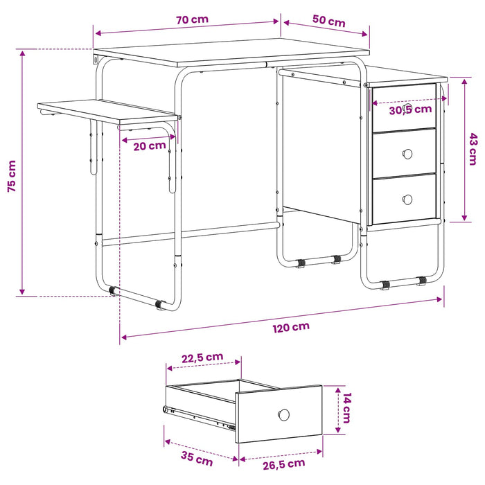 Birou cu spațiu de depozitare Stejar Artizanal 120 x 50 x 75 cm WALTI