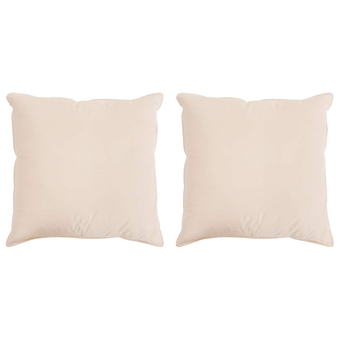 Pernă 2 pcs Bej 65 x 65 cm Fibră Kapok WALTI