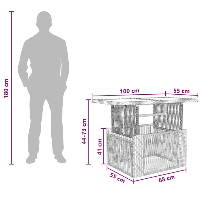 Masă de Grădină Gri 100 x 55 x 37 cm Ratan PE și sticlă WALTI