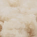  WALTI