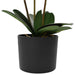 Plantă de orhidee artificială cu ghiveci Alb 45 x 15 x 65 cm - WALTI WALTI