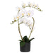 Plantă de orhidee artificială cu ghiveci Alb 45 x 15 x 65 cm - WALTI WALTI
