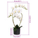 Plantă de orhidee artificială cu ghiveci Alb 45 x 15 x 65 cm - WALTI WALTI