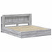 Cadru de pat cu depozitare cu headboard Sonoma gri 180 x 200 cm - WALTI WALTI