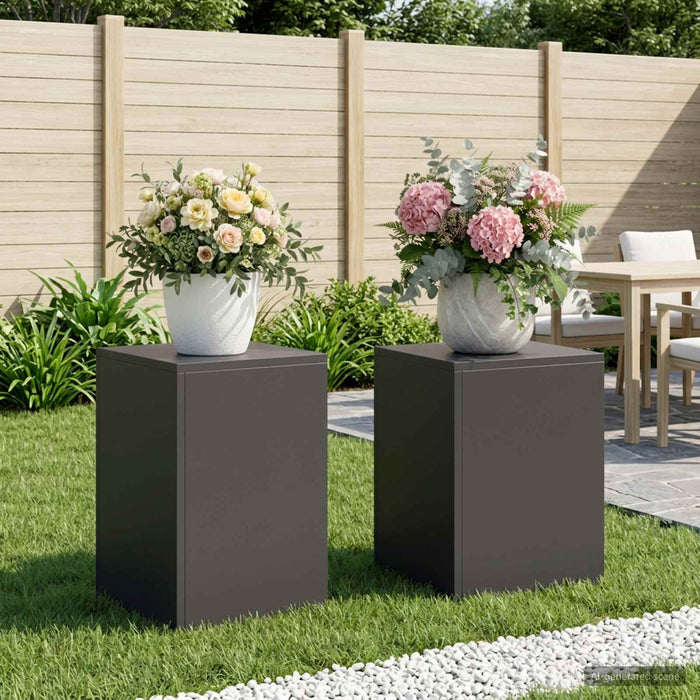 Suport pentru plante 2 pcs Negru 30 x 30 x 40 cm Oțel WALTI