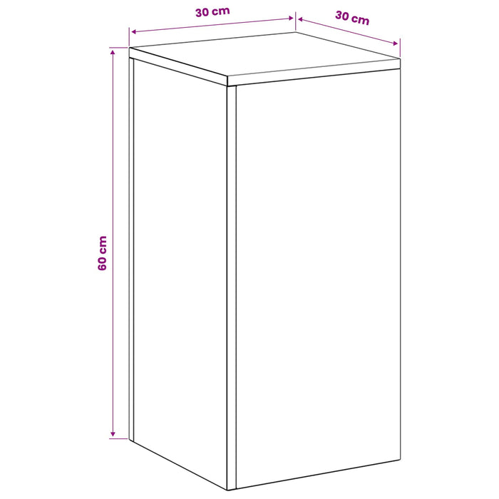 Suport pentru plante 2 pcs Argintiu 30 x 30 x 60 cm WALTI
