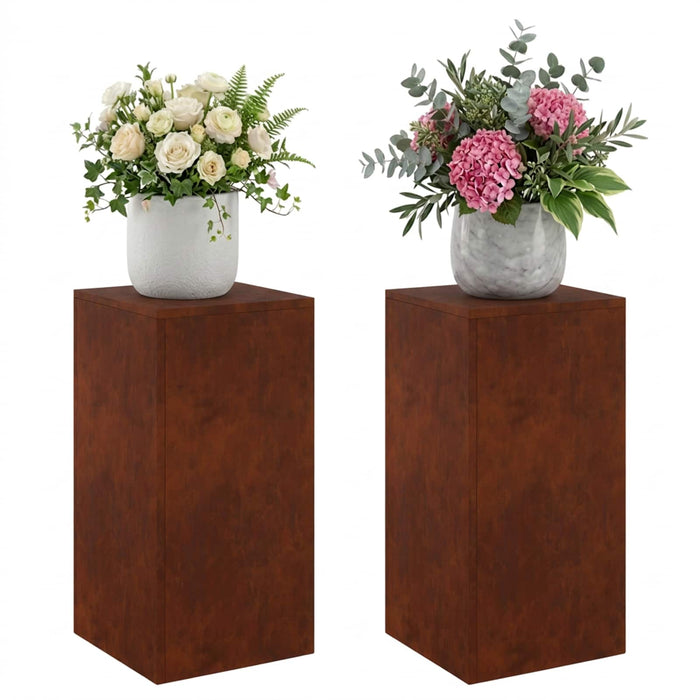Suport pentru plante 2 pcs Ruginit 30 x 30 x 60 cm WALTI